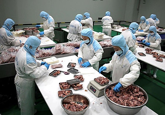 Planta de procesamiento de carne en China.