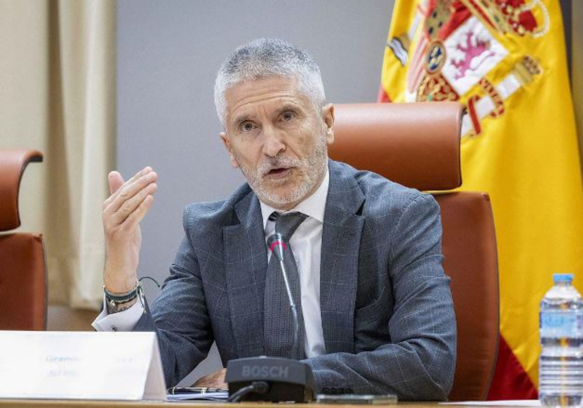 El ministro del Interior, Fernando Grande-Marlaska, en una comparecencia en la DGT.