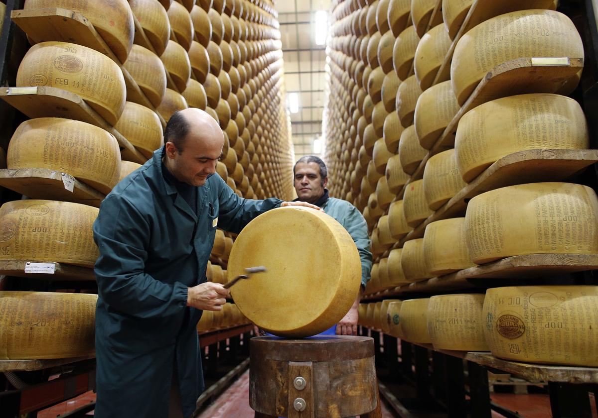 Trabajadores comprueban un queso parmesano en Italia.