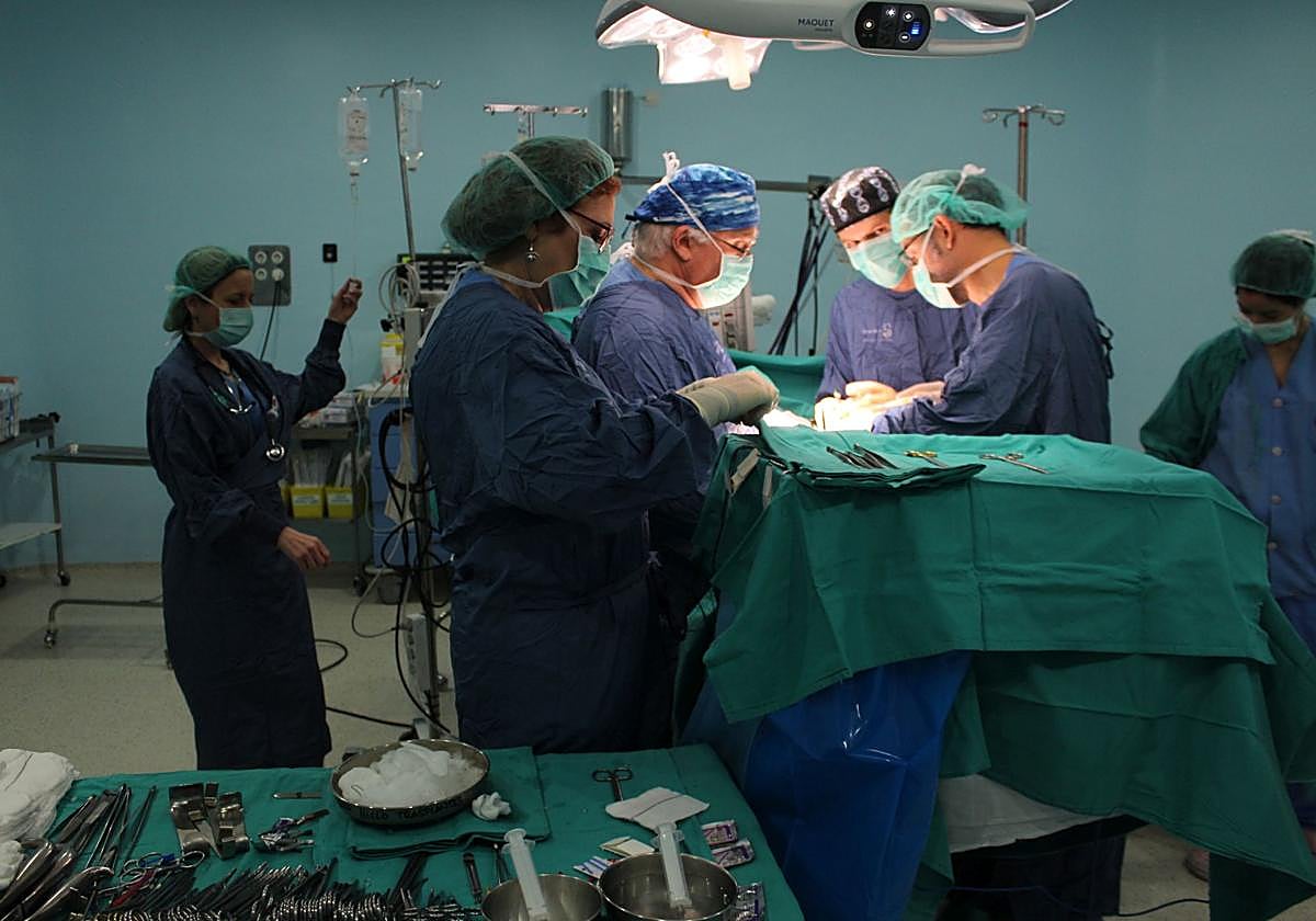 Un estudio revela que la mayoría de trasplantados de riñón tiene déficit de vitamina D