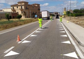 'Dientes de dragón' en Nava de Roa.