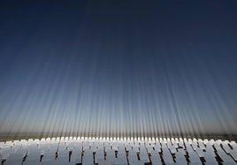 Paneles fotovoltaicos alineados en el parque de energía solar de Sanlúcar La Mayor, en Sevilla