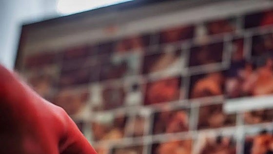 Doce millones de españoles acceden cada mes a webs porno