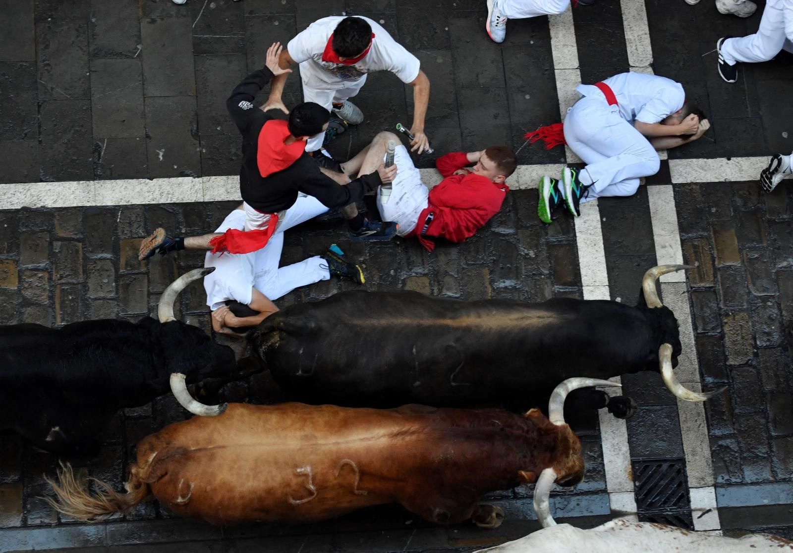 El tiempo de los encierros de los toros de La Palmosilla ha ido in crescendo. En su debut en 2019 pararon el cronómetro en 2 minutos y 12 segundos; en 2022 tardaron 9 segundos más y el pasado año protagonizaron su carrera más lenta hasta hoy, con 2 minutos y 31 segundos.