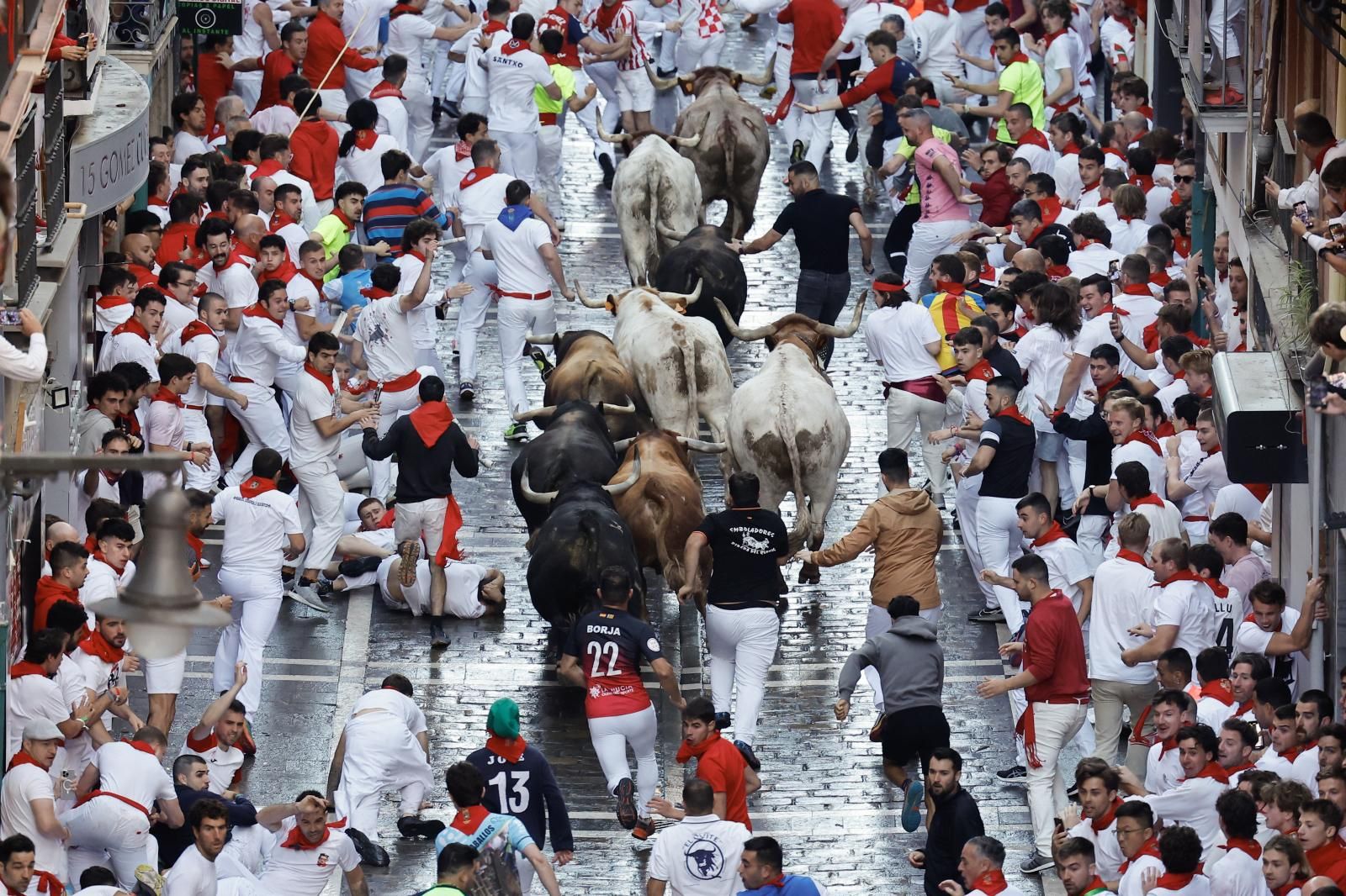 Los astados han cubierto el primer tramo guiados por los cabestros. A fuerte ritmo y muy agrupados, no han dado opción a los corredores de encontrar hueco para correr delante de las astas en el tramo de Santo Domingo.