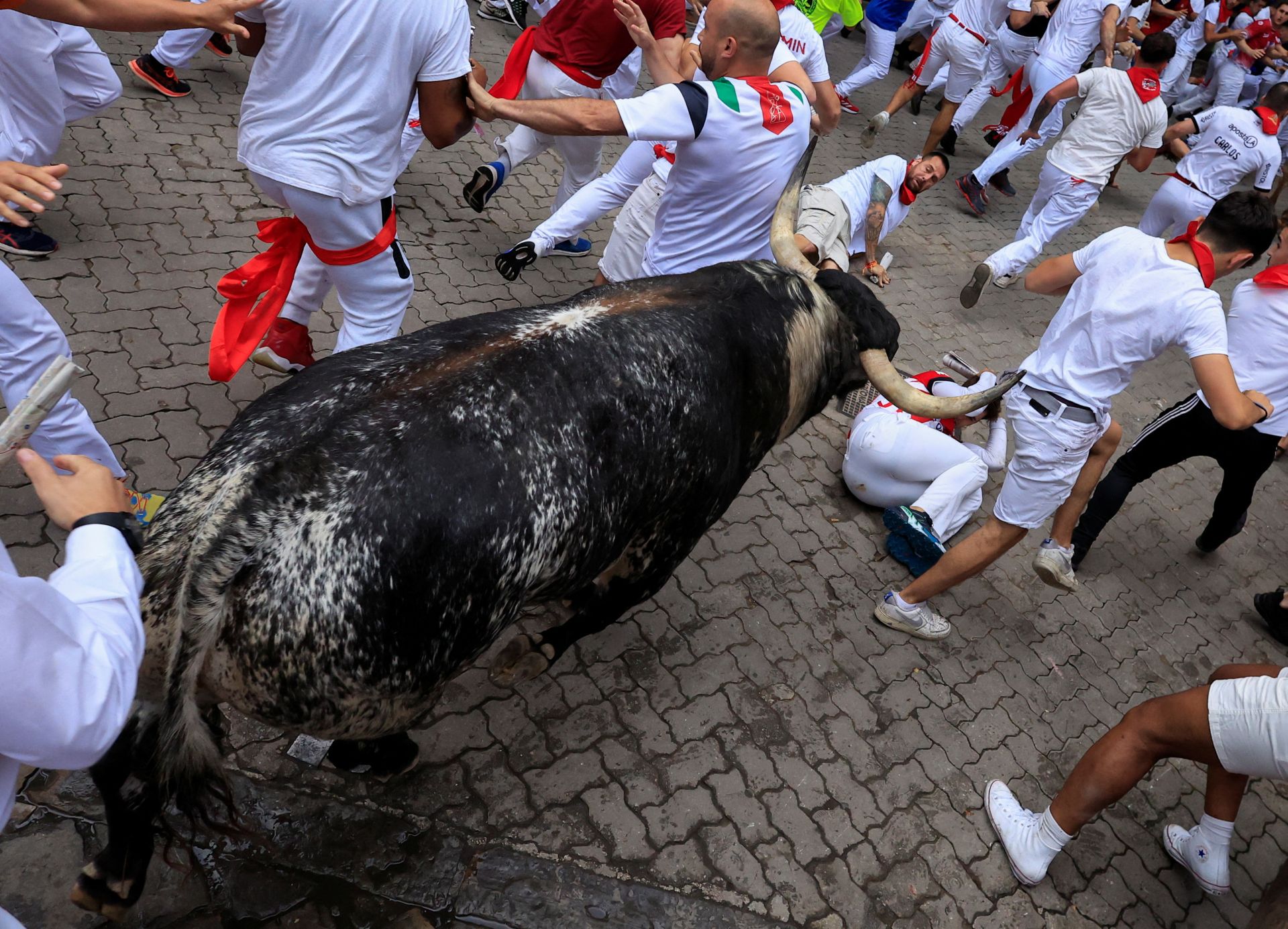 De las ocho ganaderías que van a lidiar en corridas de toros, Victoriano es, junto a Miura, la única que no ha faltado a la Feria del Toro desde su debut en 2010. En este mismo tiempo ha dejado tres corneados menos que los toros de Zahariche.