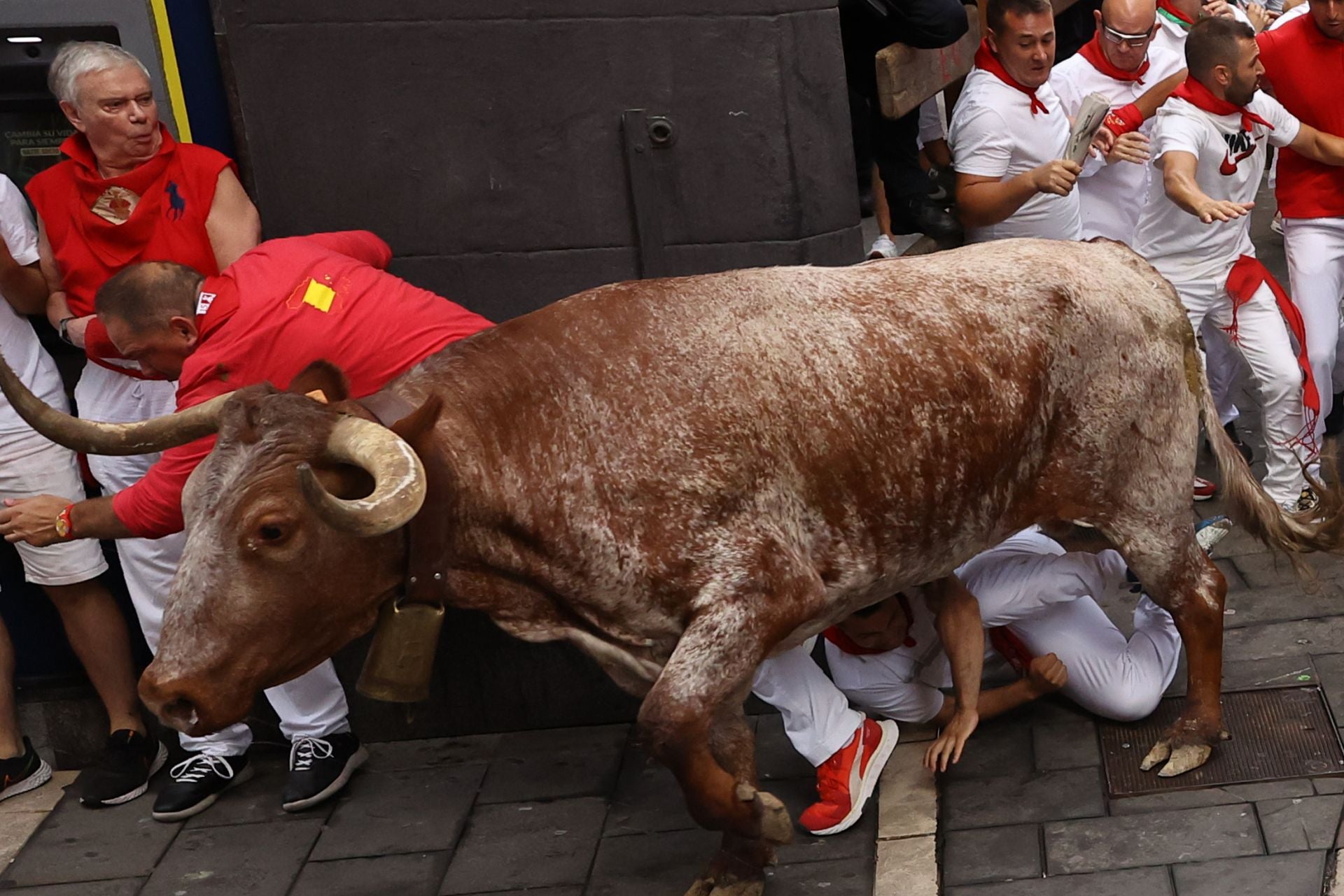 Por primera vez en estas fiestas los toros han ido por delante de los cabestros en casi todos los tramos del recorrido gracias a que uno de los toros negros ha tomado la delantera de sus hermanos y ha impulsado al resto de la manada.