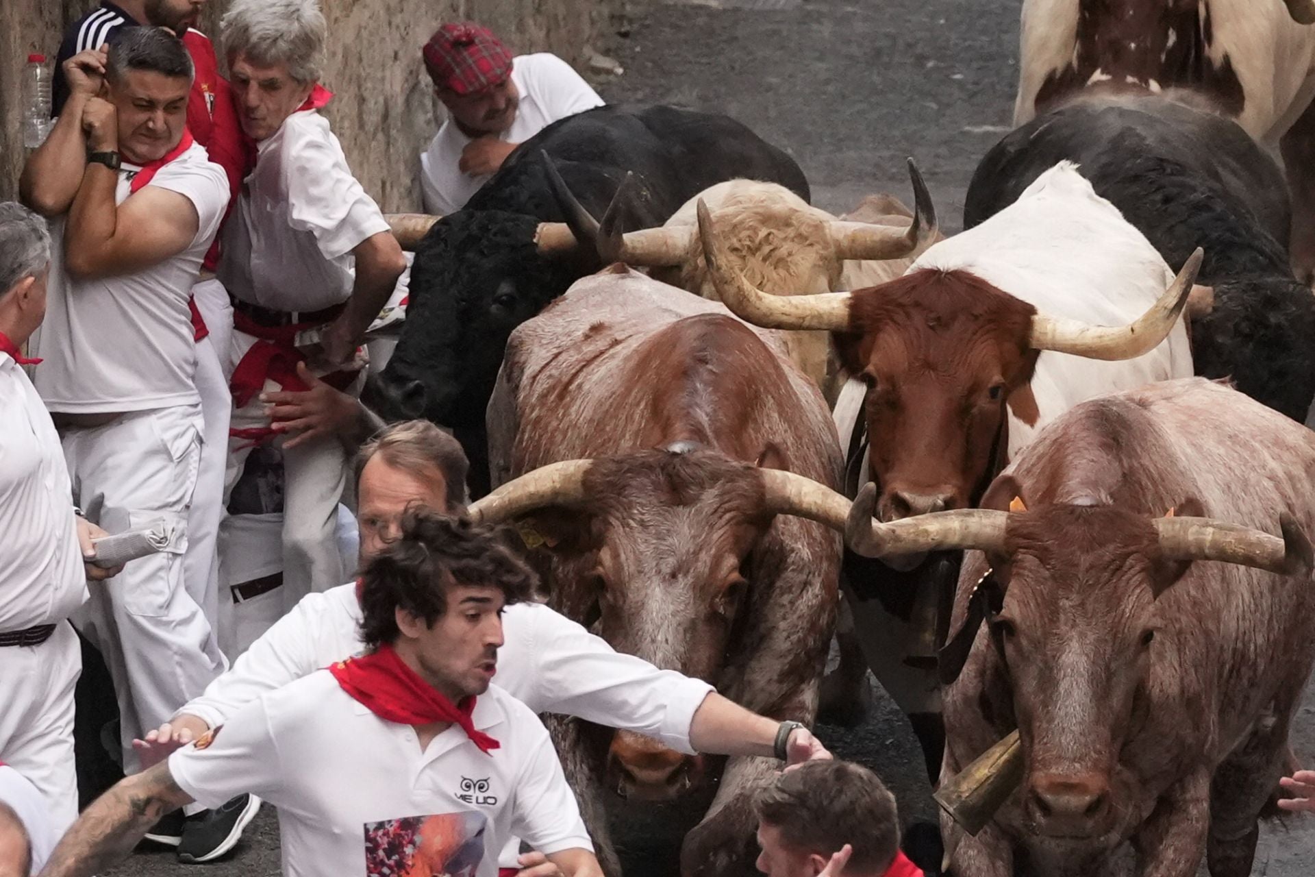 Los toros de la ganadería de Jandilla recorren la cuesta de Santo Domingo. 