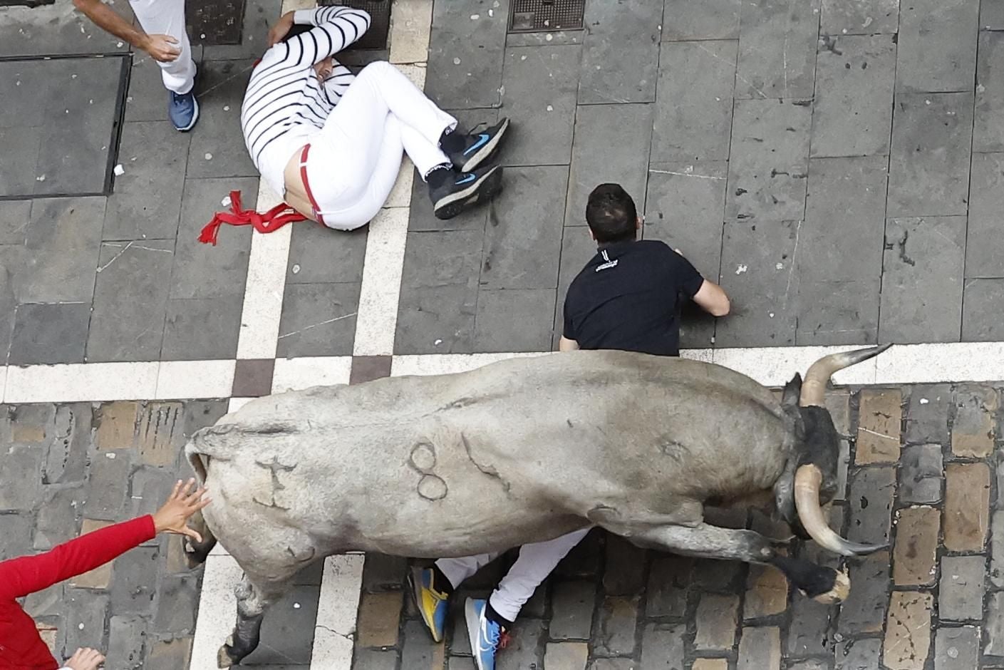 Un cárdeno de José Escolar pasa por encima de uno de los corredores.