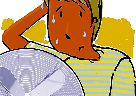 ¿Sabes cómo elegir el mejor ventilador para este verano?