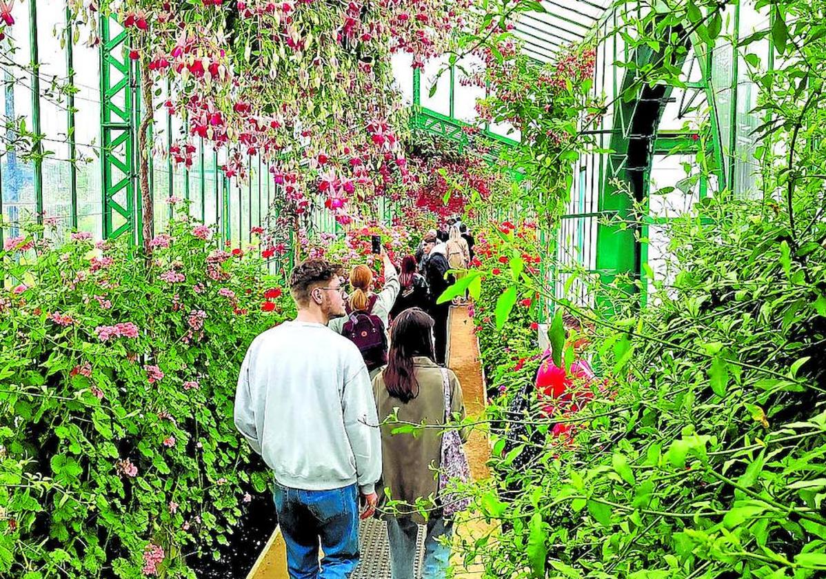 Se tarda hora y media en recorrer los pasillos y galerías de los invernaderos.