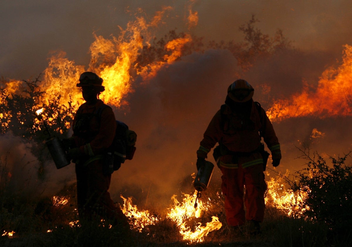 Un equipo de bomberos planifica la forma de frenar un gran incendio forestal.