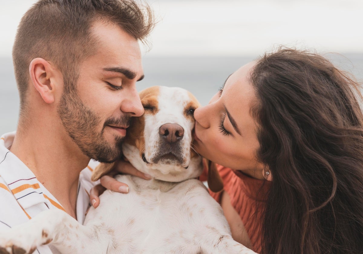 Disfruta del verano y de tus vacaciones, pero siempre con tu perro al lado