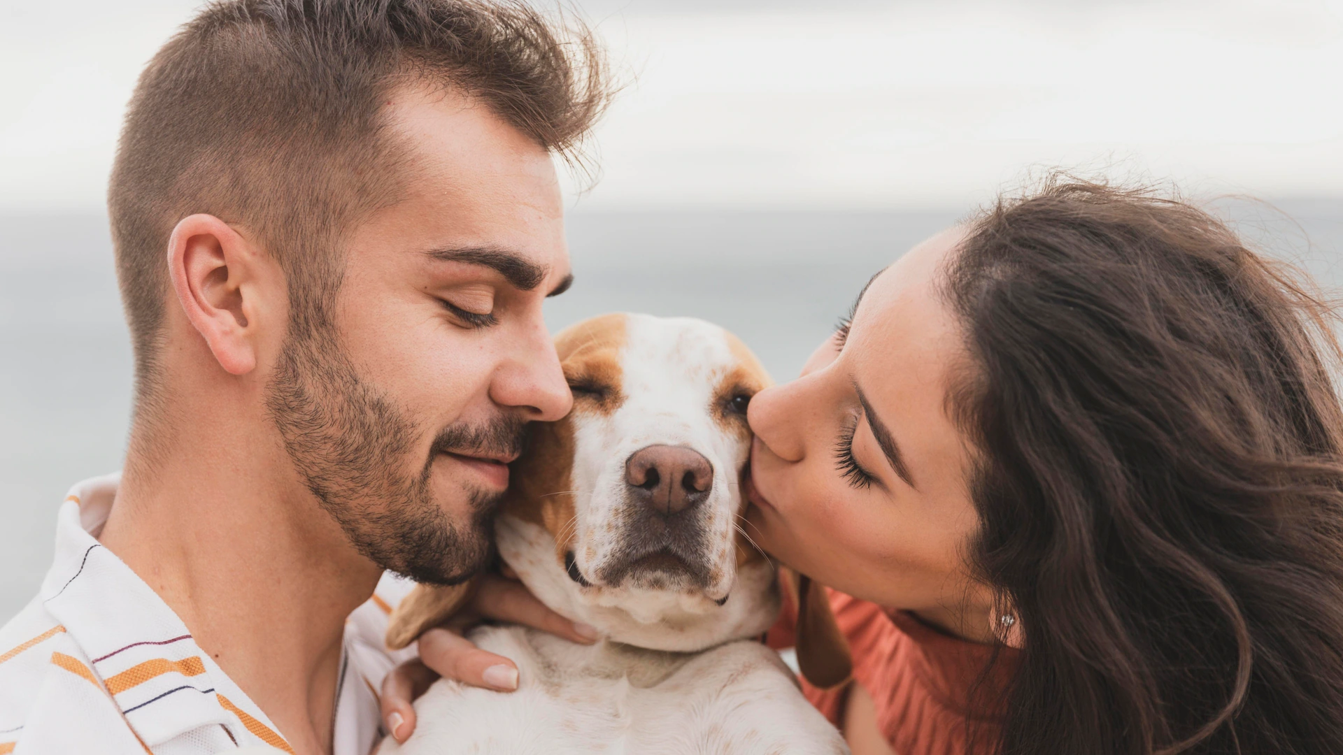 Mejores productos para perros | El Correo