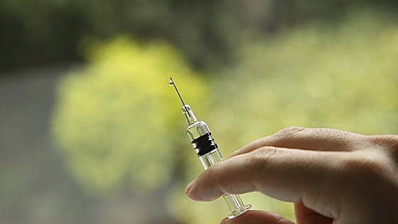 Cuatro meses sin cucarachas con una sola jeringuilla: armamento biológico sin convención de Ginebra