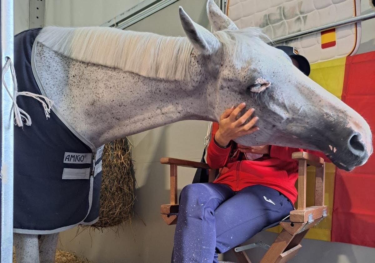 Cuadras con aire acondicionado o el privilegio de ser caballo olímpico