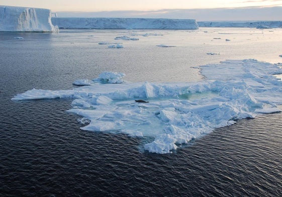 La superficie de hielo antártico retrocede año tras año.