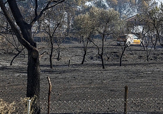 Incendio en la localidad madrileña de Loeches