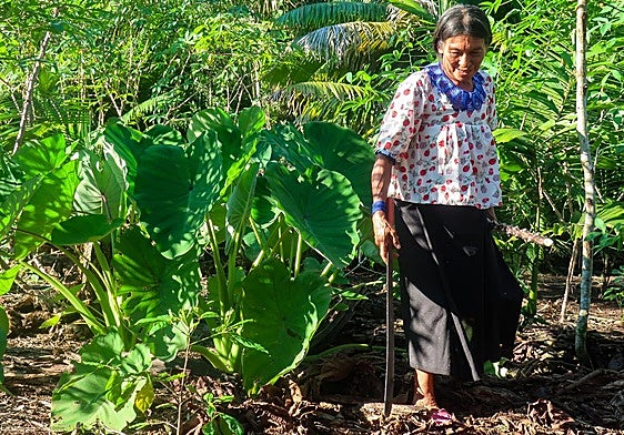 Mujer indígena trabaja la tierra.