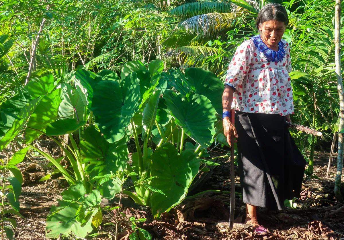 Mujer indígena trabaja la tierra.