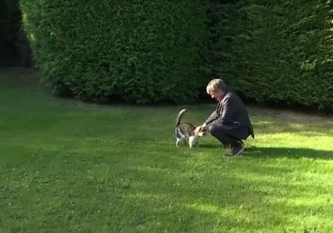 Puigdemont, ya en su residencia de Waterloo, acaricia a su gato.