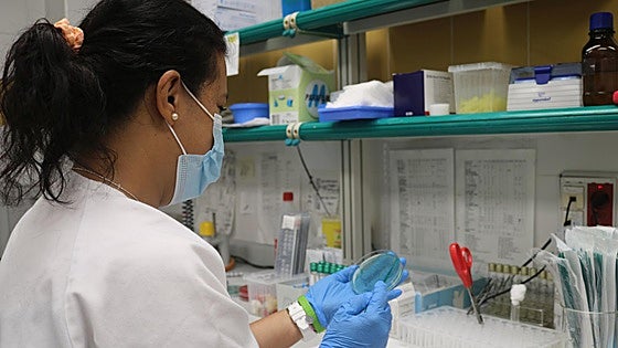 Un nuevo caso en Canarias eleva a 14 las infecciones de oropouche en España