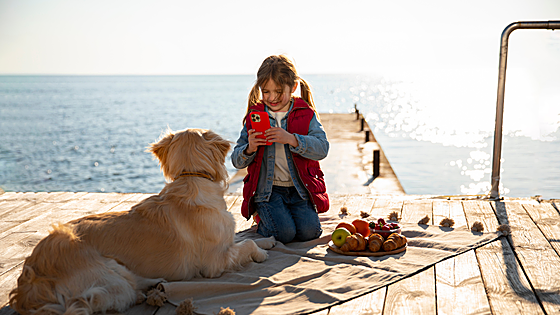 ¡De vacaciones con tu mascota! 10 tips para disfrutar el verano juntos