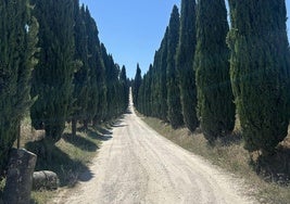 La bella y fotografiada fachada del 'duomo' de Siena.