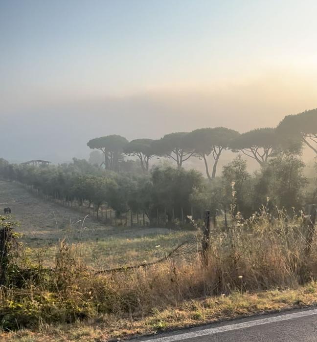 Así amanece en la campiña romana.