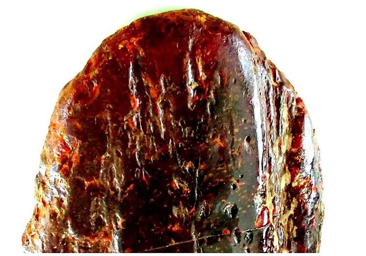 La piedra podría tener entre 40 y 70 millones de años de antigüedad.