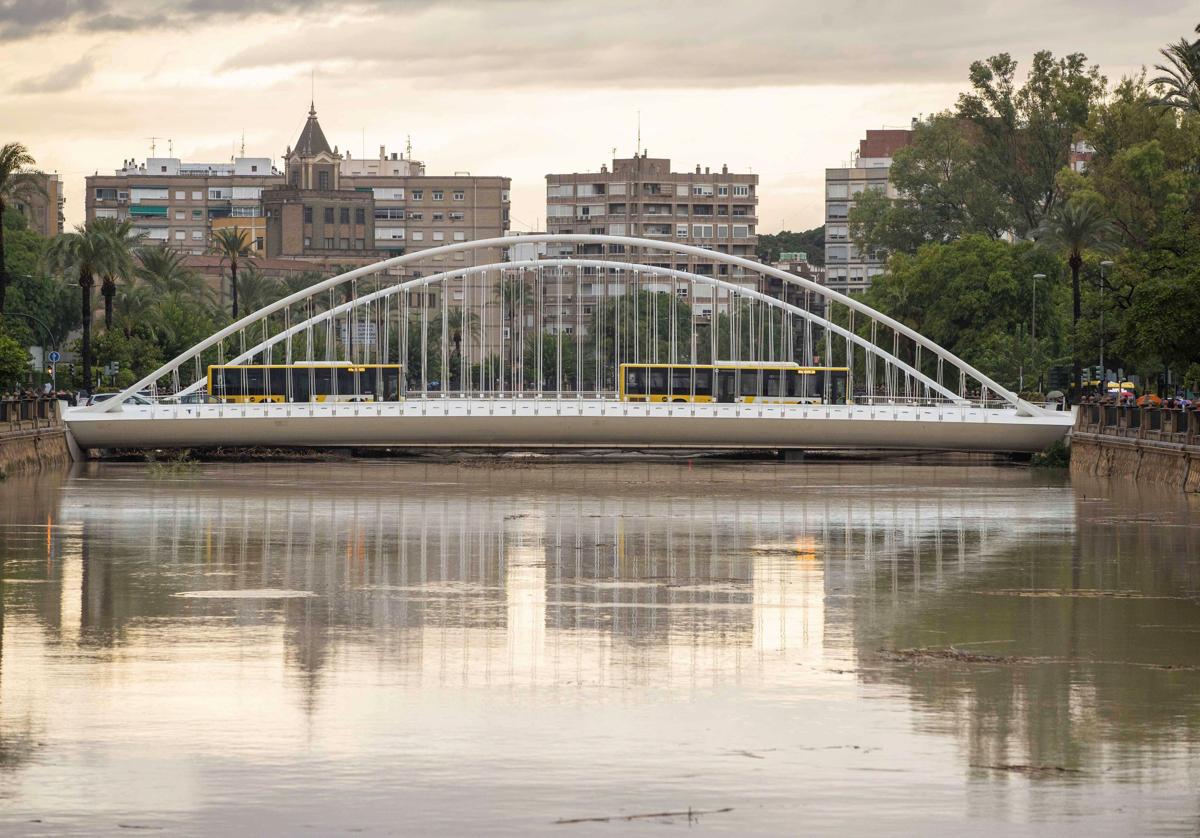 El cauce del rio Segura a su paso por la ciudad de Murcia esta mañana.