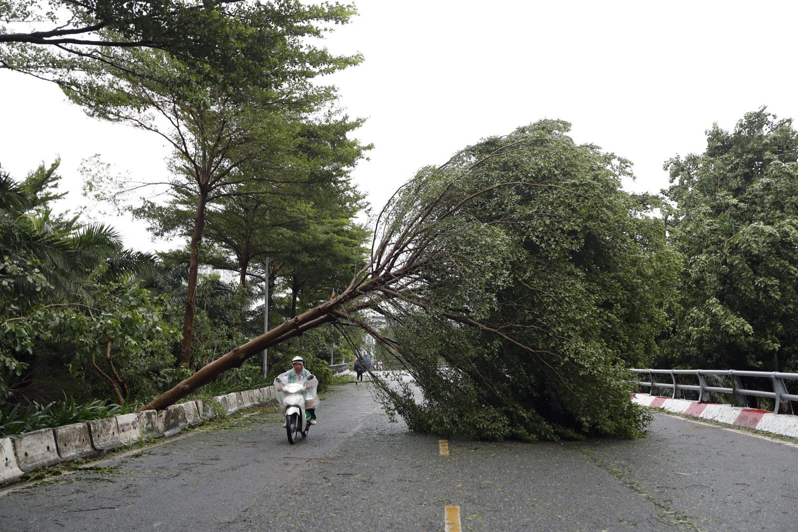 El devastador paso del tifón &#039;Yagi&#039; por Vietnam, Tailandia y Myanmar