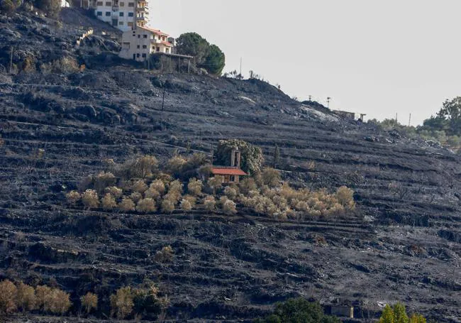 Incendio en un bosque en Siria.