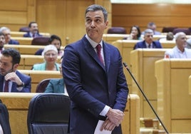 El presidente del Gobierno, Pedro Sánchez, interviene en una sesión de control en el pleno del Senado