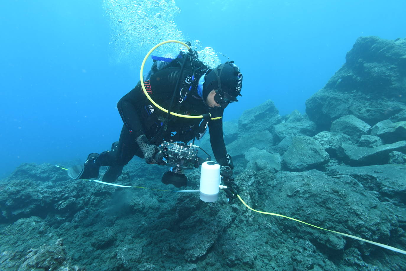 Imagen principal - Imágenes de la investigación llevada a cabo por Ecoaqua.