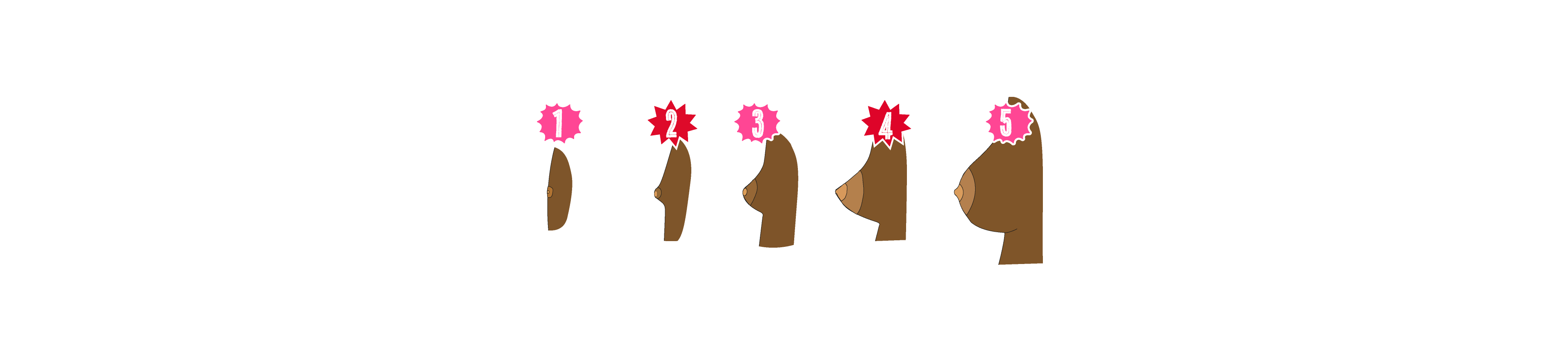 La Monta a Rusa De La Adolescencia Femenina Las Tetas La Regla Y El La Monta a Rusa De La Adolescencia Femenina Las Tetas La Regla Y El