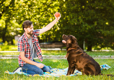 Disfruta al aire libre o en casa con los juguetes y accesorios más divertidos para tus mascotas