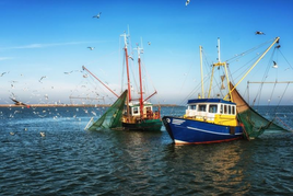 Dos barcos pesqueros