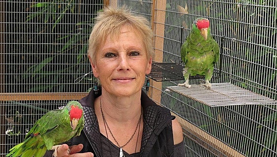 La Fundación BBVA premia a la profesora Ursula K. Heise por su trabajo sobre los retos medioambientales