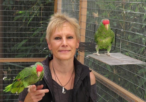 Los loros cambiaron la carrera de la profesora Ursula K. Heise.