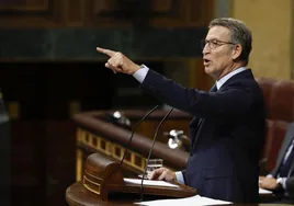 Alberto Núñez Feijóo, presidente del PP, en el Congreso