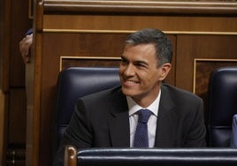 Pedro Sánchez, en el Congreso