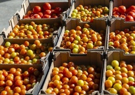 Alimentos recogidos por la organización benéfica.