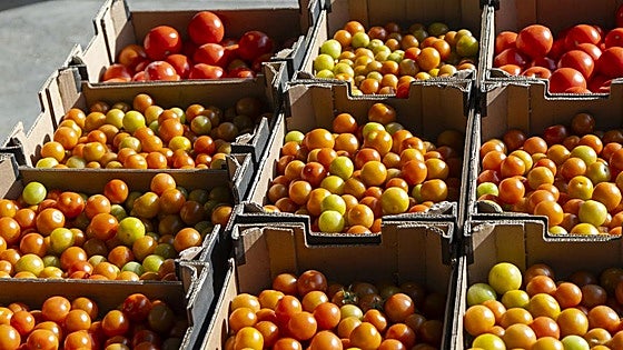 Más de la mitad de la comida donada a través de Banco de Alimentos procedía de excedentes