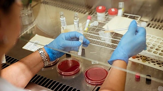 La Fundación la Caixa impulsa 29 proyectos en biomedicina y salud