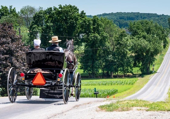 Una familia amish se desplaza por un camino con un carruaje tradicional tirado por caballos.