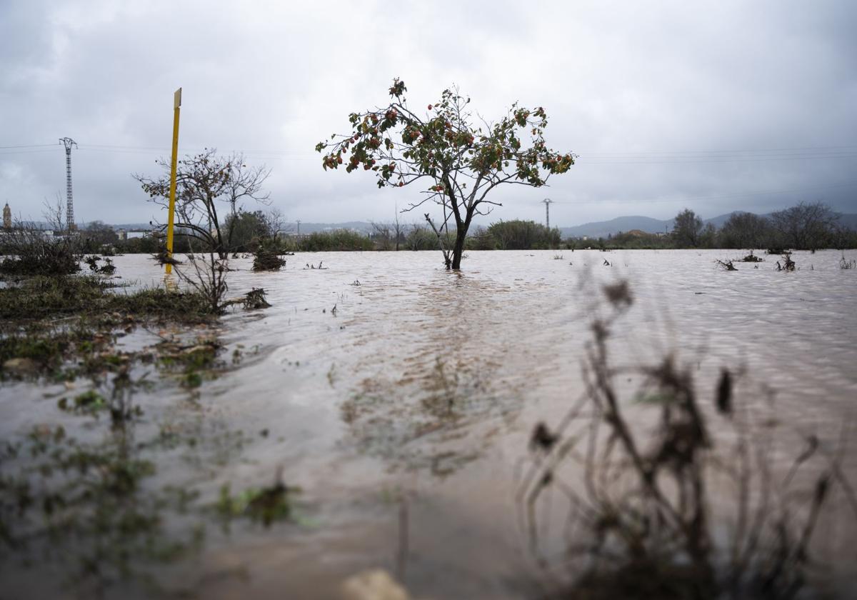 Directo | Los Reyes viajan a las zonas afectadas