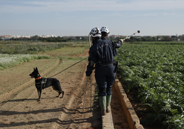 Efectivos de la Policía Nacional con perros realiza labores de búsqueda