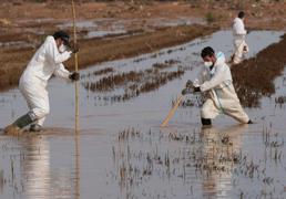 Hallan otro fallecido tras la DANA en la Albufera