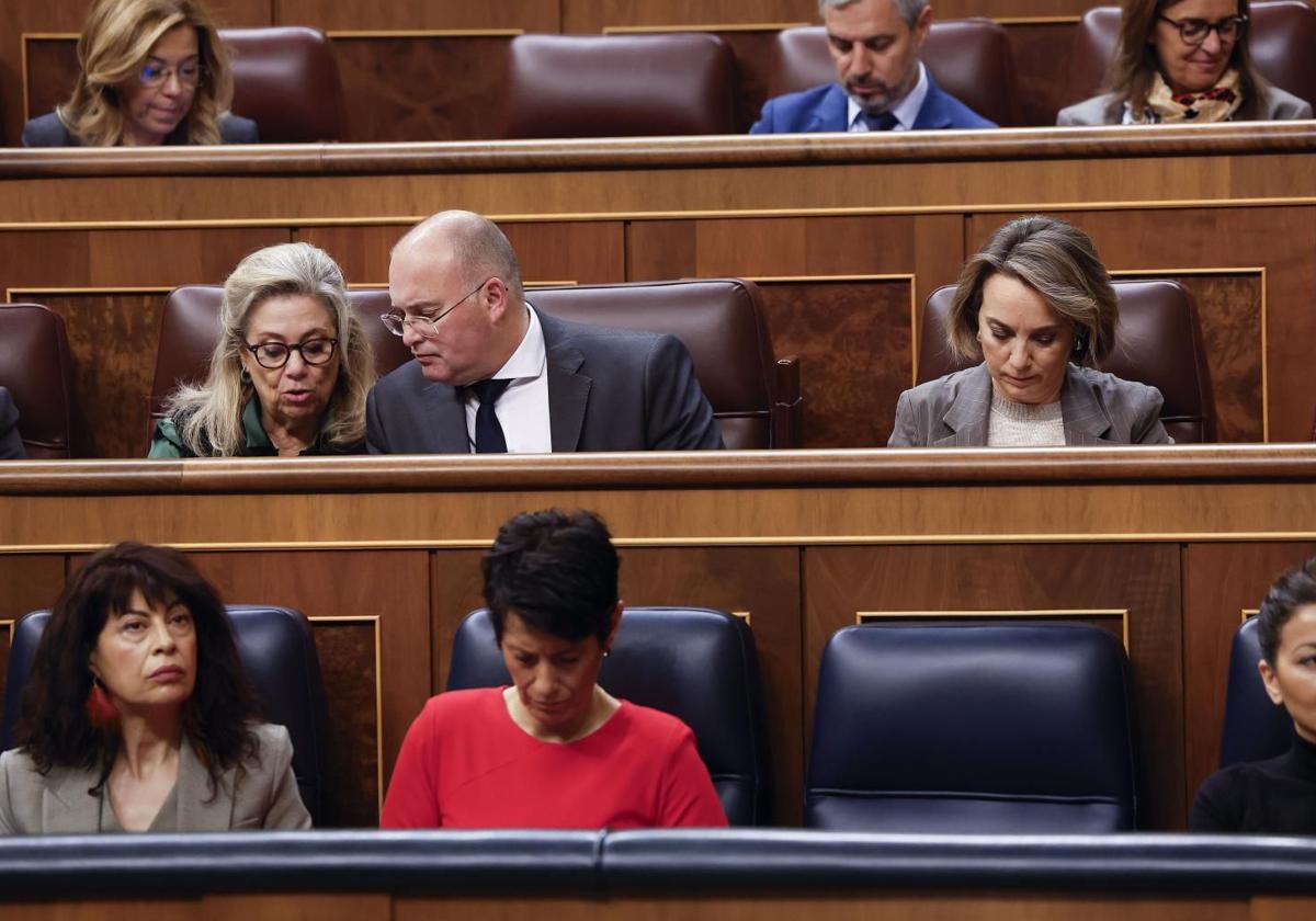 El portavoz del PP, Miguel Tellado, durante la comparecencia de Ángel Víctor Torres.